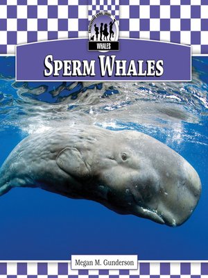 cover image of Sperm Whales